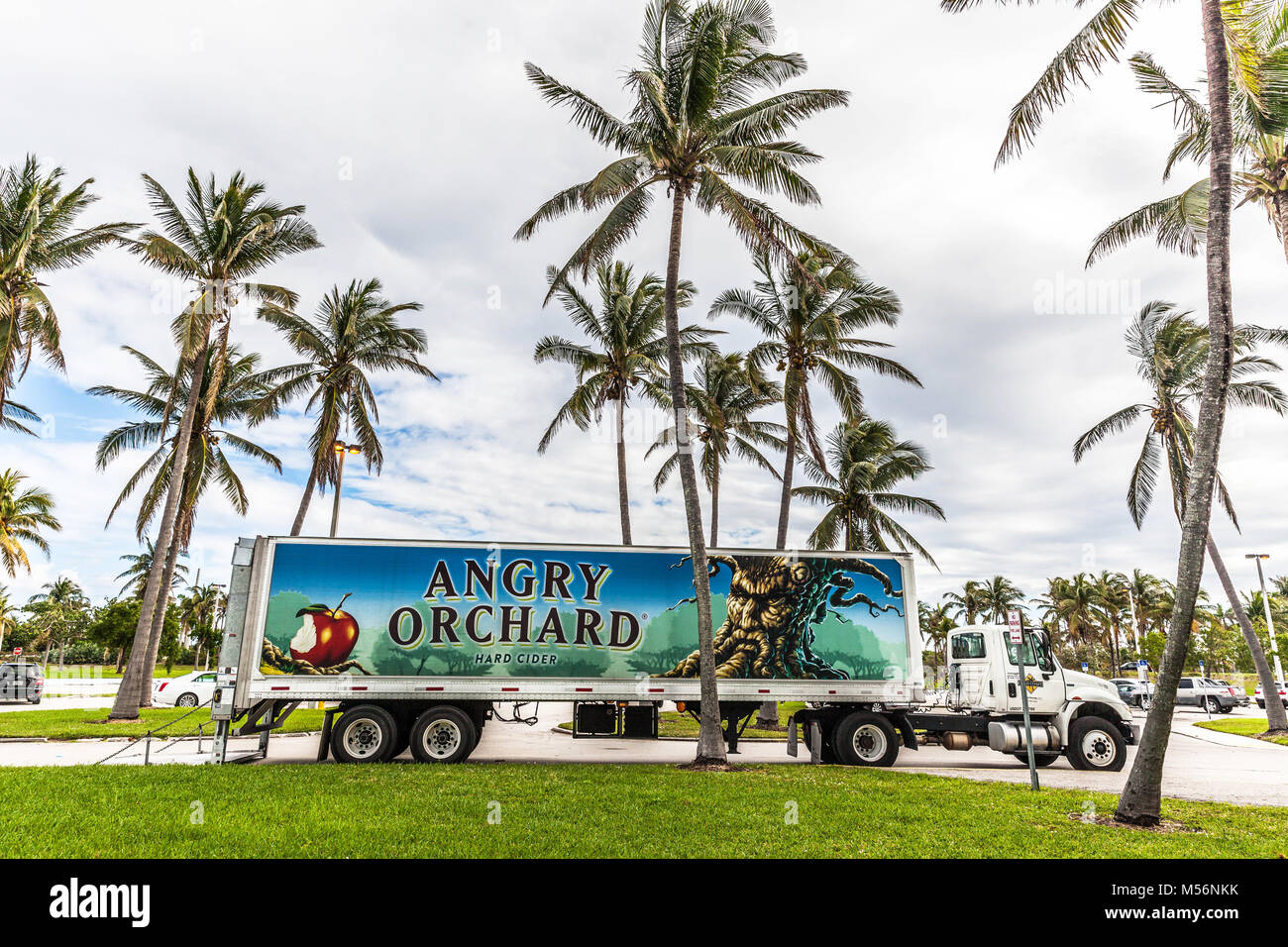 Autocarro parcheggiato tra alberi di palma, Miami, Florida, Stati Uniti d'America. Foto Stock