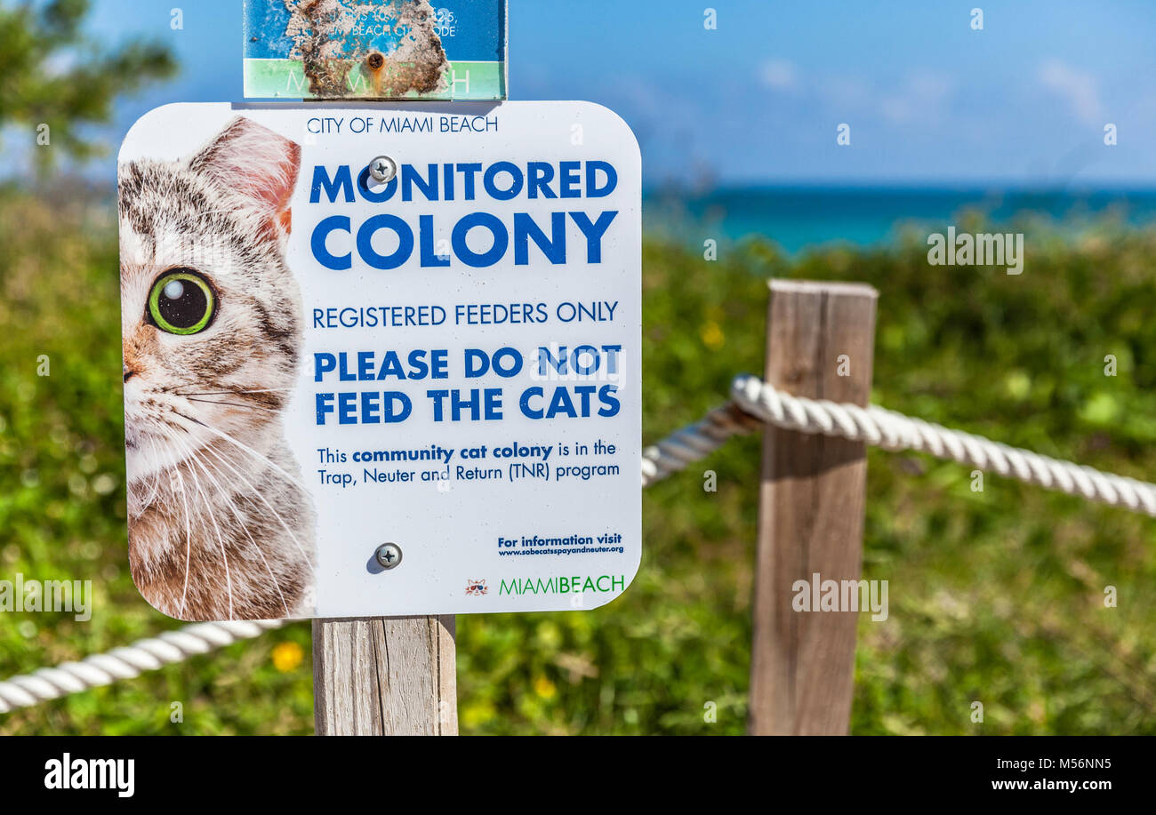 Non alimentare i gatti segno, Miami Beach, Florida, Stati Uniti d'America. Foto Stock