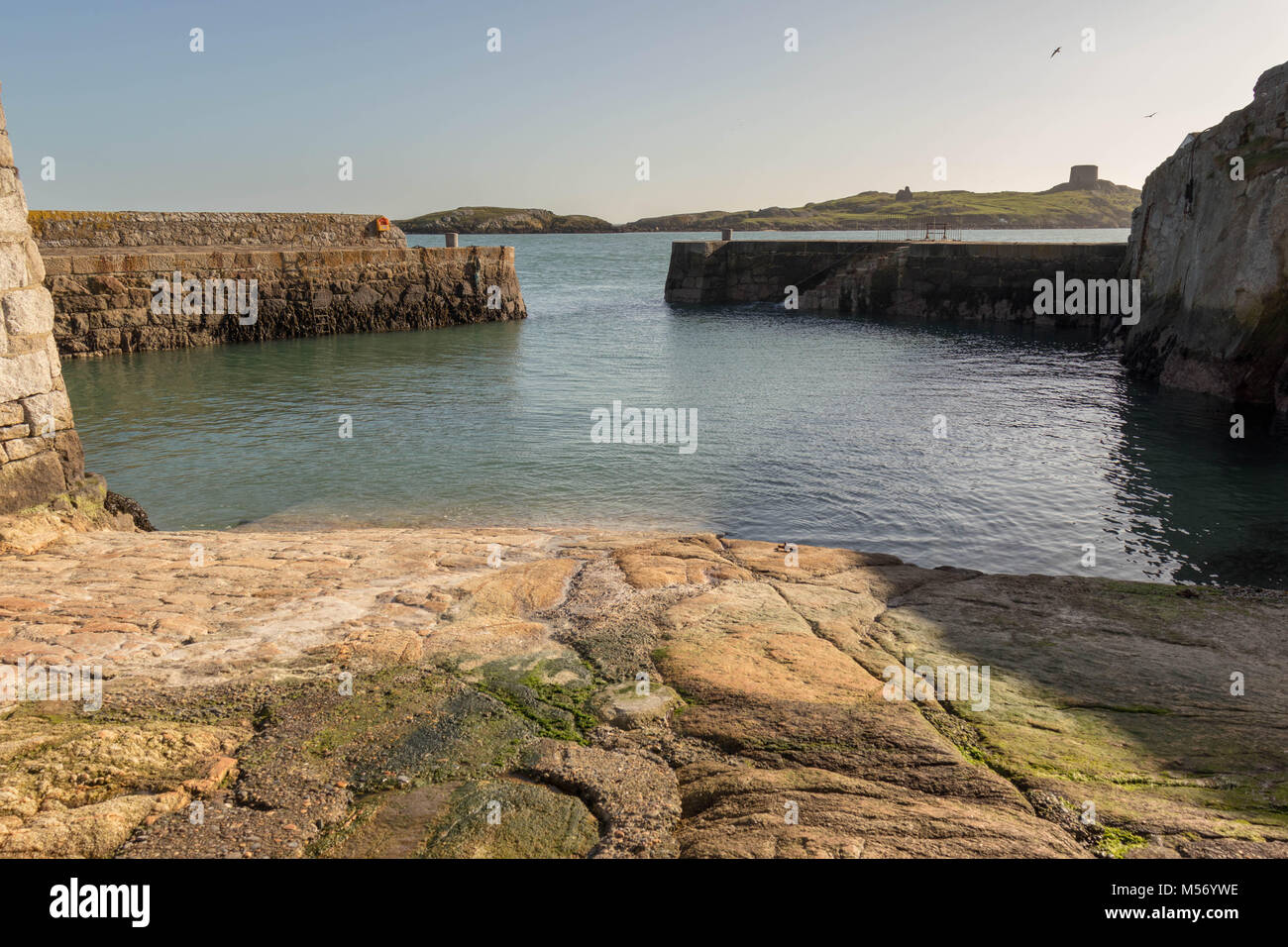 Coliemore Harbour si trova a Dalkey (a sud di Dublino). Inoltre, nel Medioevo, Coliemore era il principale porto per la città di Dublino. Foto Stock