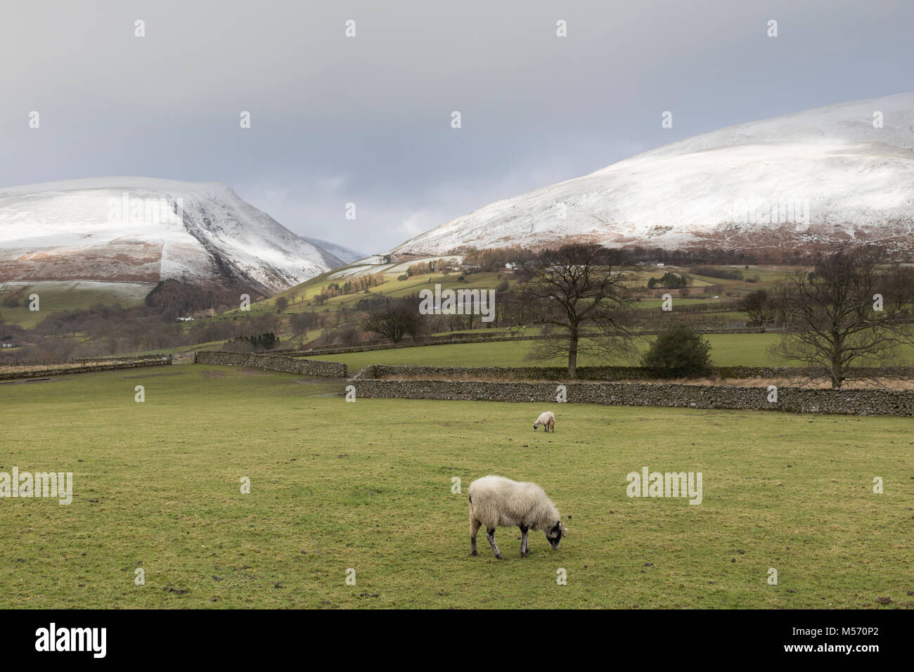 Il Lake District, Cumbria, in inverno con neve sulle cime. Il bordo orientale del Lonscale cadde e il lato occidentale di Blencathra, dal sud Foto Stock