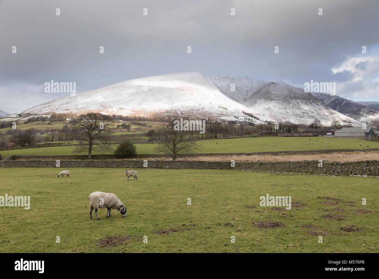 Il Lake District, Cumbria, in inverno con neve sulle cime. Blencathra, Near Keswick, visto da vicino a Tewet Tarn Foto Stock