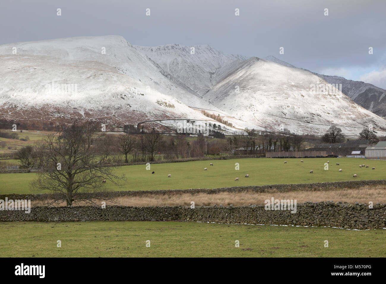 Il Lake District, Cumbria, in inverno con neve sulle cime. Blencathra, Near Keswick, visto da vicino a Tewet Tarn Foto Stock