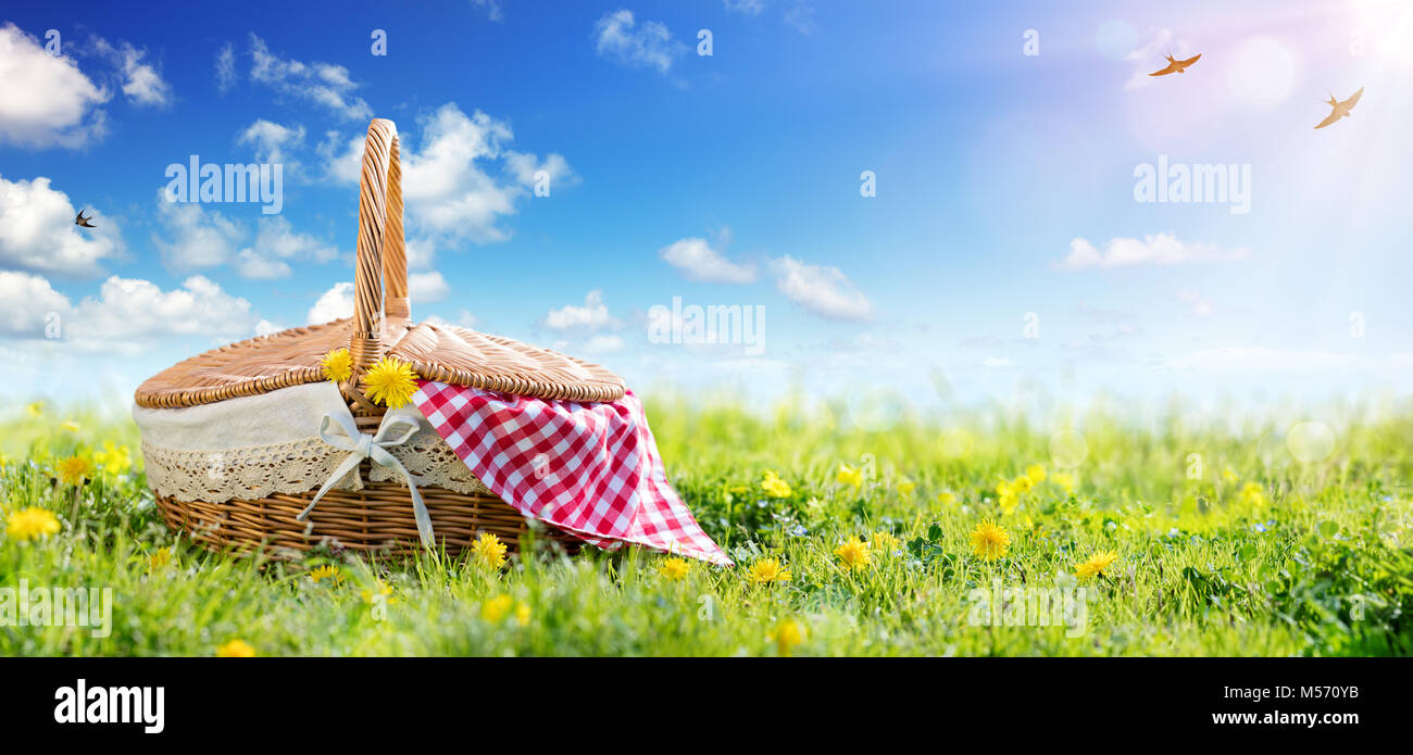 Picnic - Cesto su prato Foto Stock