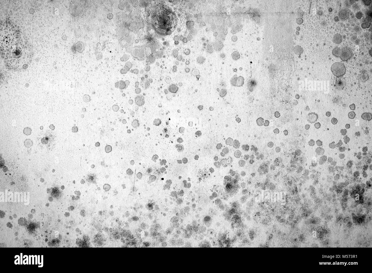 Sporchi, macchiata e logora parete con macchie di stampo in bianco e nero Foto Stock