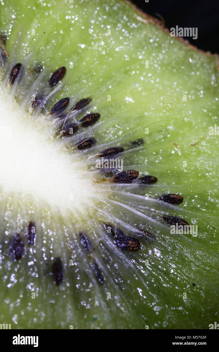 Kiwi, sementi, design, frutta, striature, lucentezza, texture, ombre, riflessi, carne, sfondo marrone, marrone, alimenti biologici e naturali, estate, impianti, macro, colorato Foto Stock