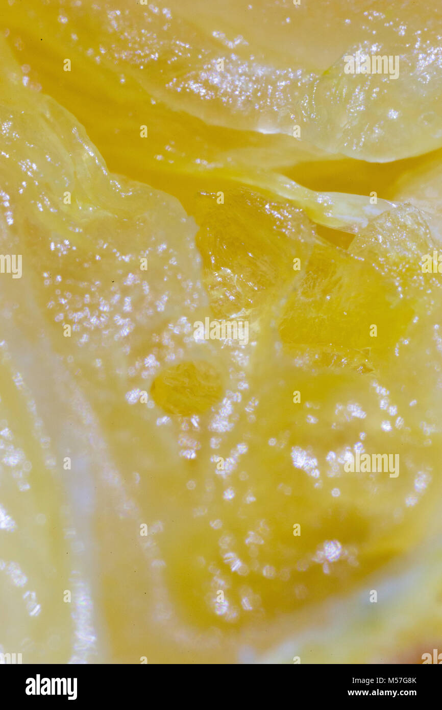 Macro, organico, agrumi, Orange, macro natura, dettaglio, tagliare, lucentezza, carne, giallo, striature, sbucciare, frutta, naturale, colore, vitamina, natura tropicale e del cibo Foto Stock