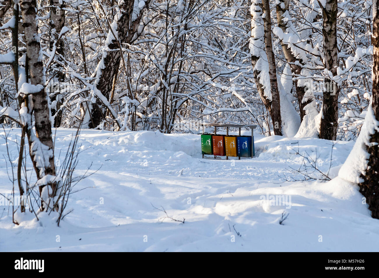 Una fila di quattro coloratissimi raccoglitori di immondizia in un parco d'inverno. Mantenere la natura pulita. Coperta di neve alberi, nessuno attorno Foto Stock