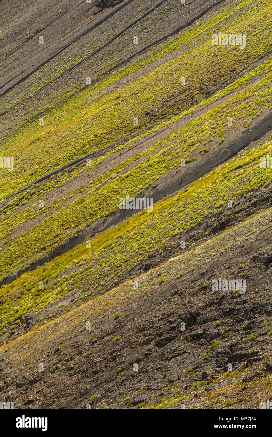 Montagna nella valle di Cameron retroilluminati da sole, visto dal Grand passare durante un viaggio zaino in spalla in Grand Valley nel Parco Nazionale di Olympic, Wa Foto Stock