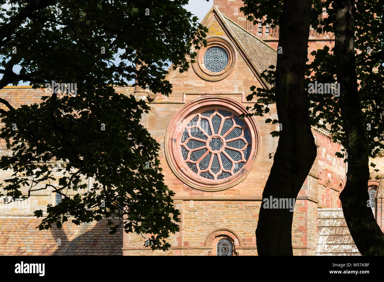 Ricostruito rosone nel transetto sud di St Magnus Cathedral, Kirkwall, Orkney, Scozia Foto Stock