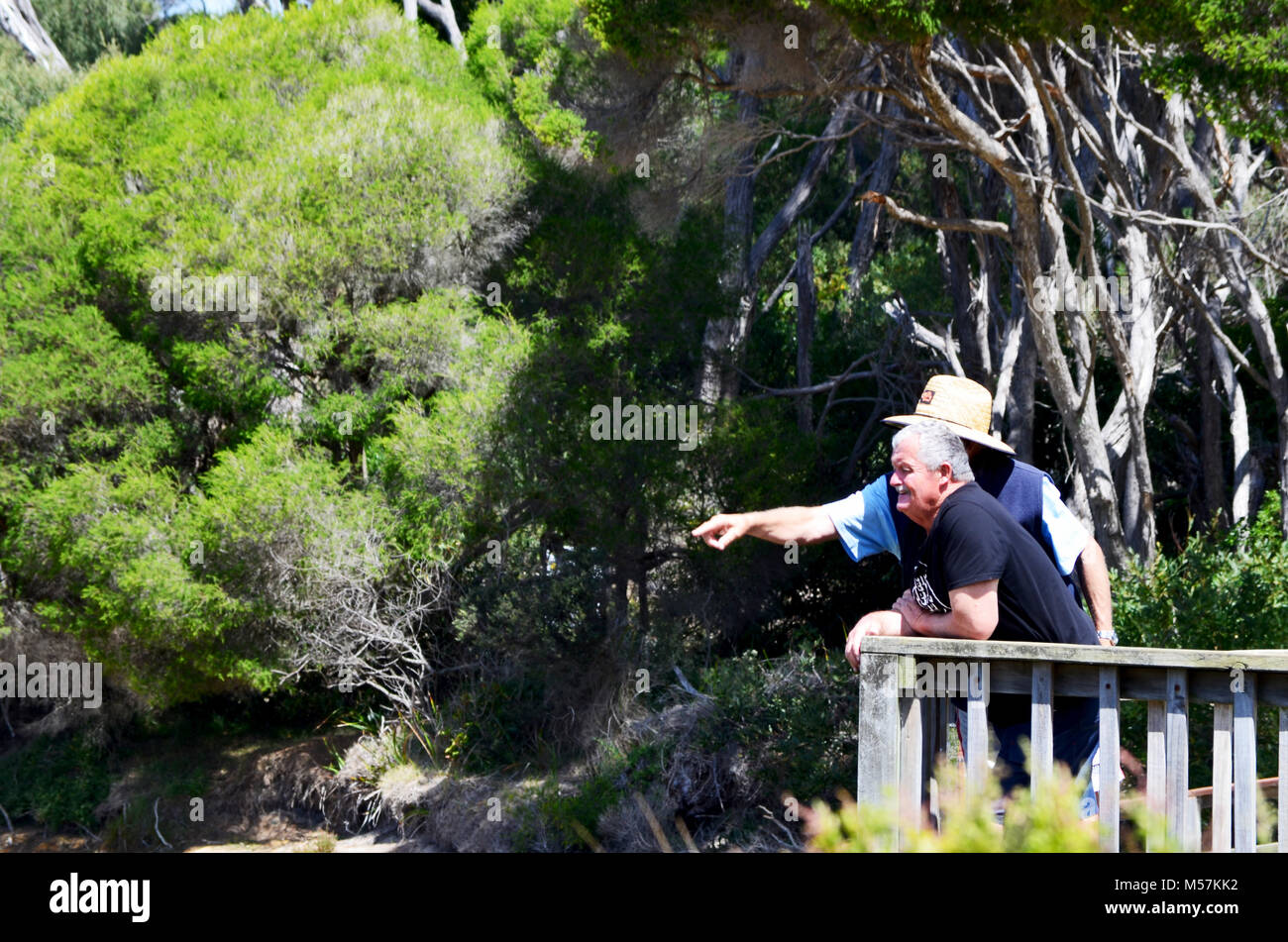 Due uomini anziani insieme a lookout Foto Stock