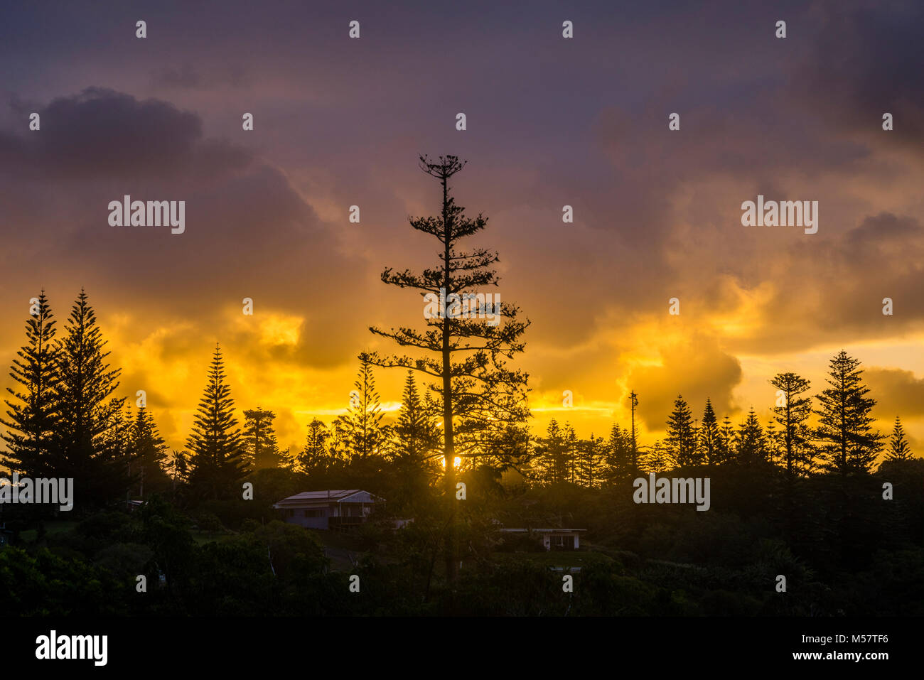 Isola Norfolk, australiano territorio esterno, il sole che tramonta dietro il pino di Norfolk colline costellate di Cascade Foto Stock