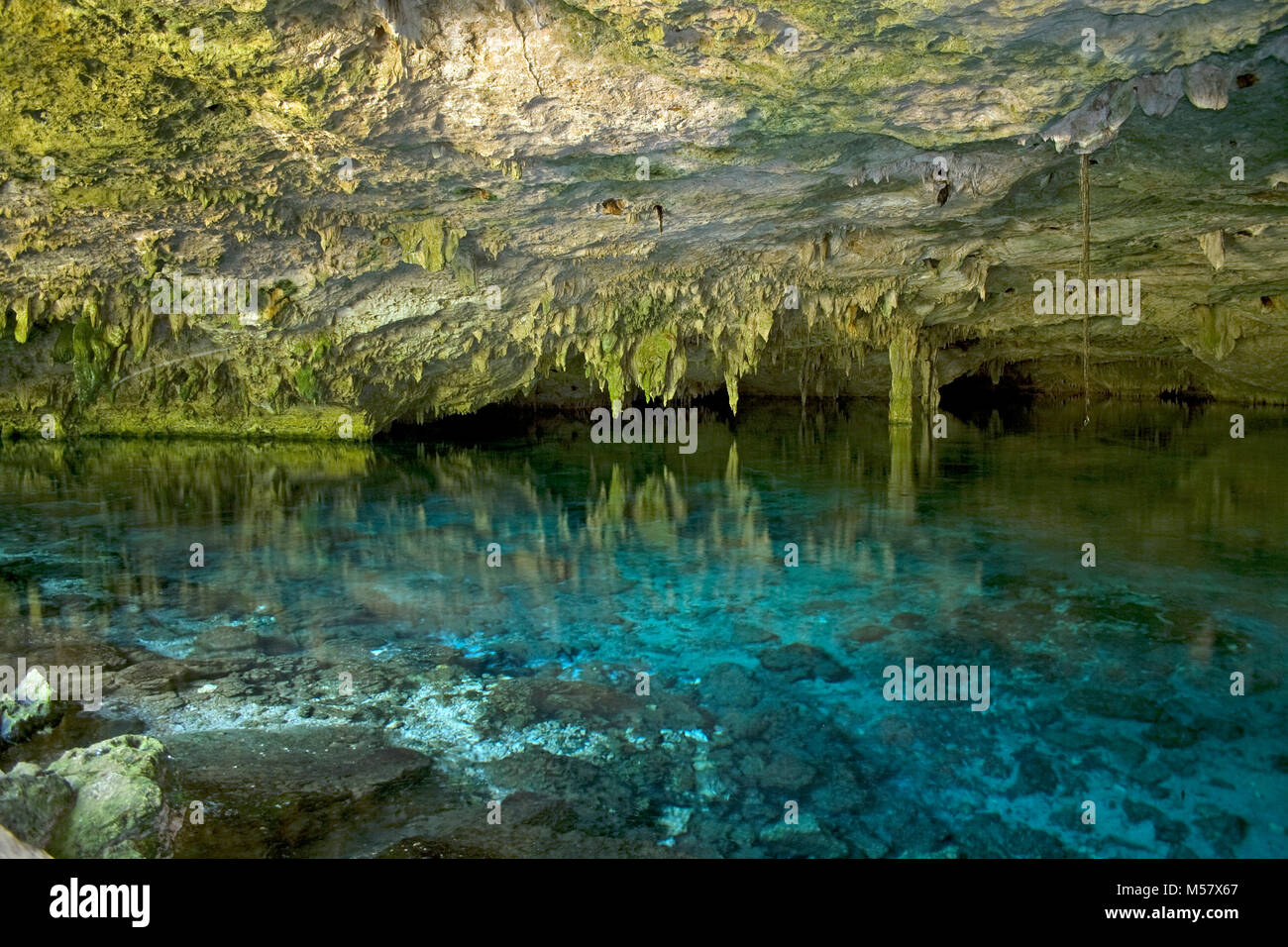 Acqua cristallina in Cenote Dos Ojos, cenotes, Tulum Riviera Maya, Yucatan, Quintana Roo, Messico, Caraibi Foto Stock