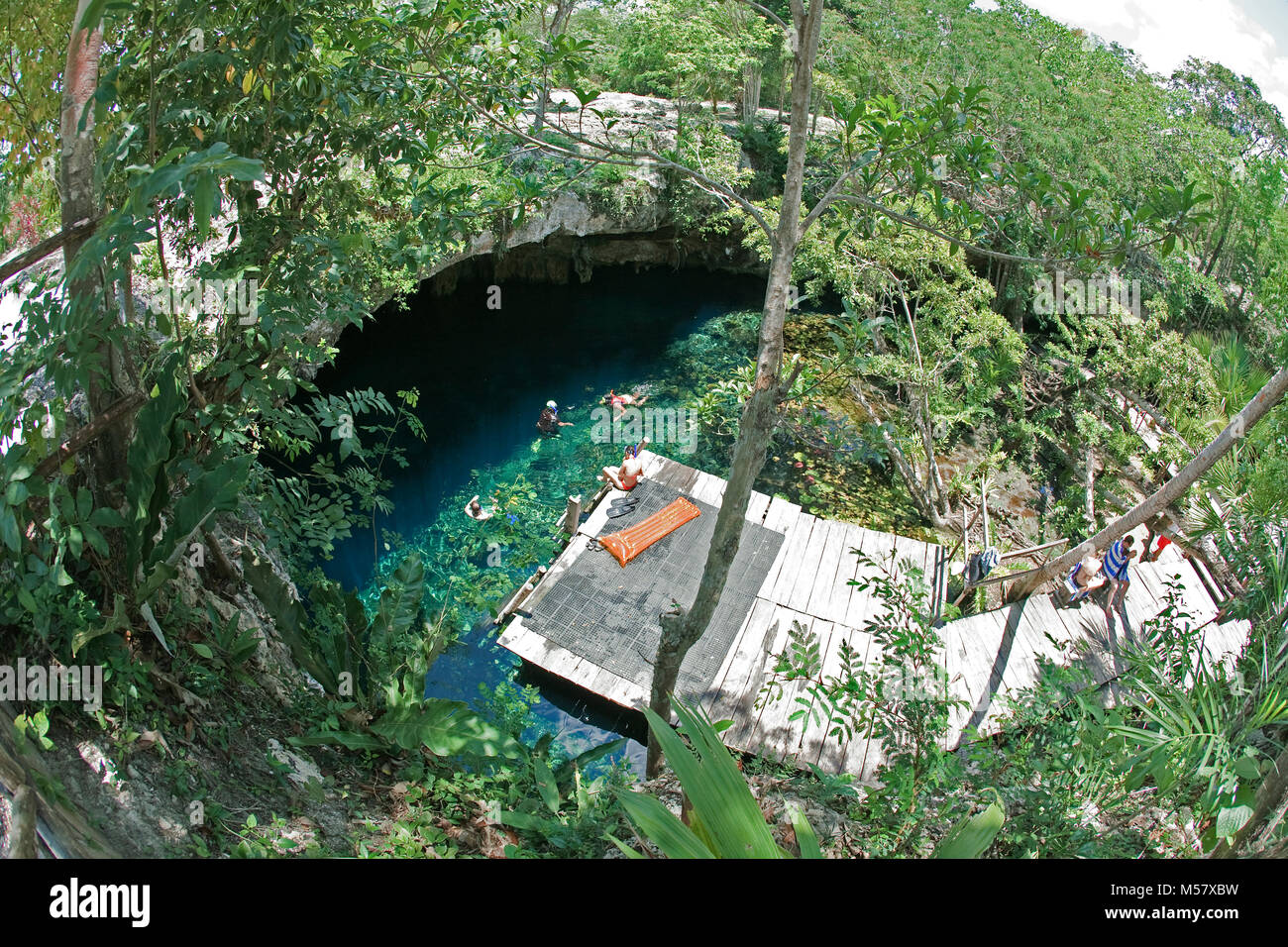 Snorkeler nuotare nelle acque cristalline di Gran Cenote, cenotes, Tulum Riviera Maya, Yucatan, Quintana Roo, Messico, Caraibi Foto Stock