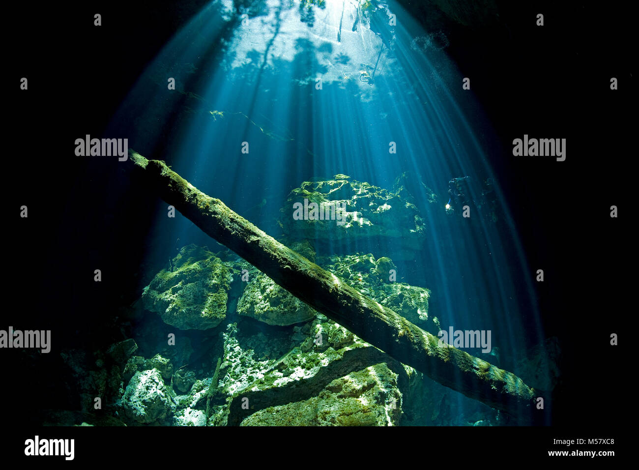 Raggi di sole suffuse acqua cristallina del cenote Taj Mahal, cenotes, Tulum, Yucatan, Quintana Roo, Messico, Caraibi Foto Stock