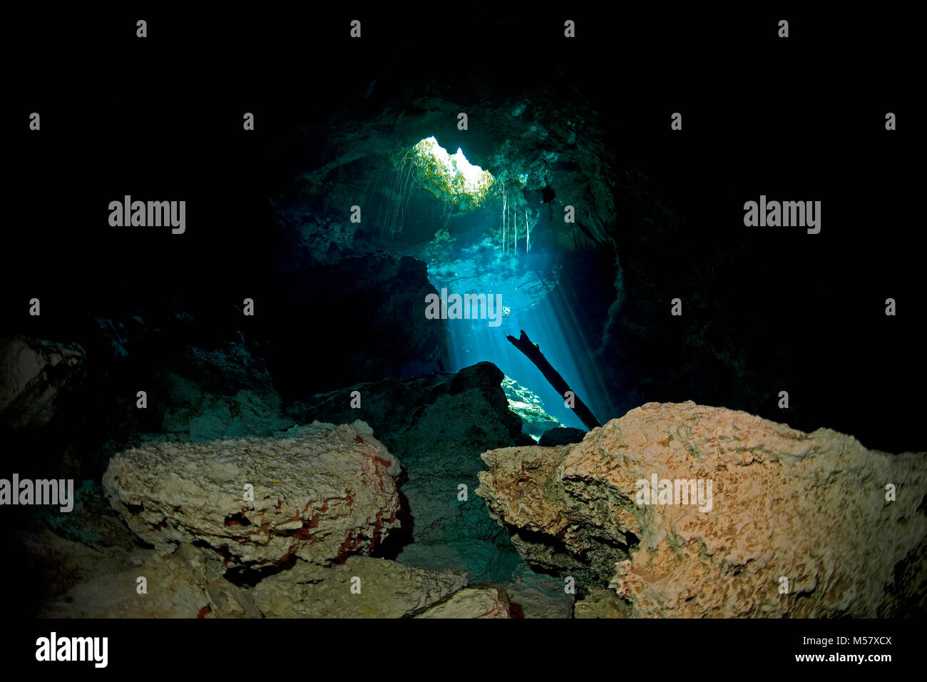 Raggi di sole suffuse acqua cristallina del cenote Taj Mahal, cenotes, Tulum, Yucatan, Quintana Roo, Messico, Caraibi Foto Stock