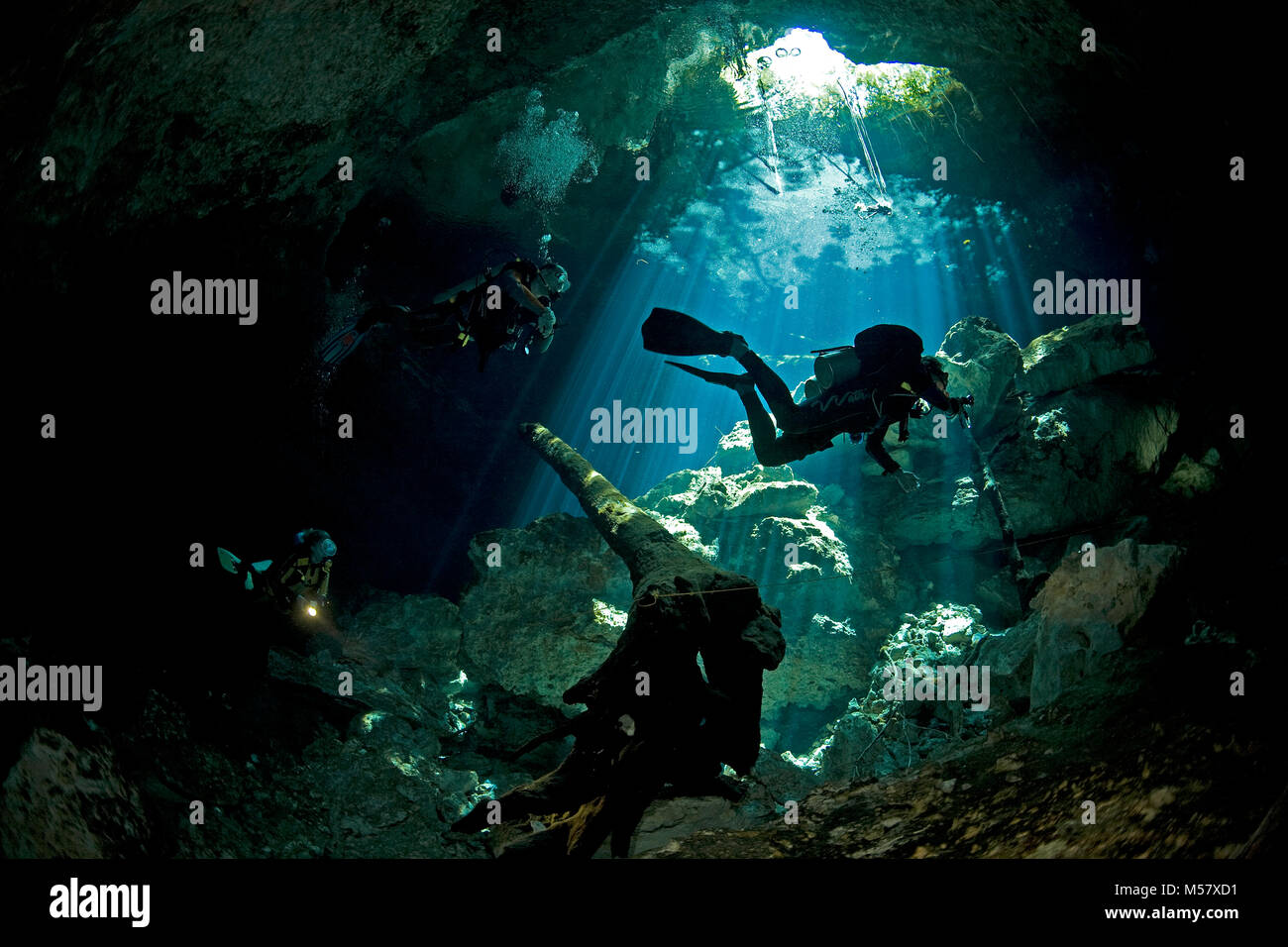 Raggi di sole suffuse acqua cristallina del cenote Taj Mahal, cenotes, Tulum, Yucatan, Quintana Roo, Messico, Caraibi Foto Stock