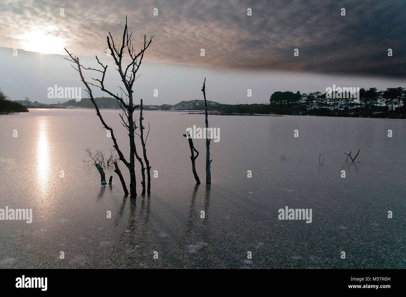 Lago ghiacciato con bald Alberi e neve montagne sullo sfondo Foto Stock