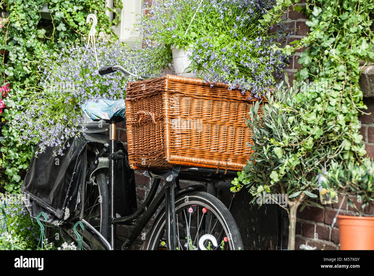 Vecchia bicicletta con una bicicletta in legno cestello posto contro una parete circondata da fiori Foto Stock