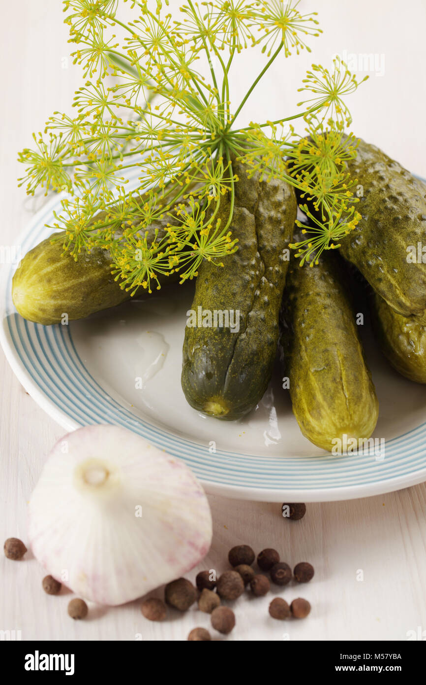 Cetrioli sottaceto con aneto, aglio e pepe Foto Stock
