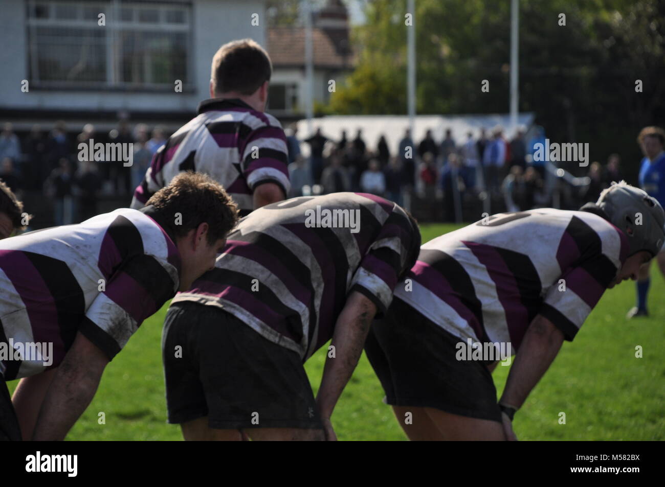 Giocatori di rugby Foto Stock