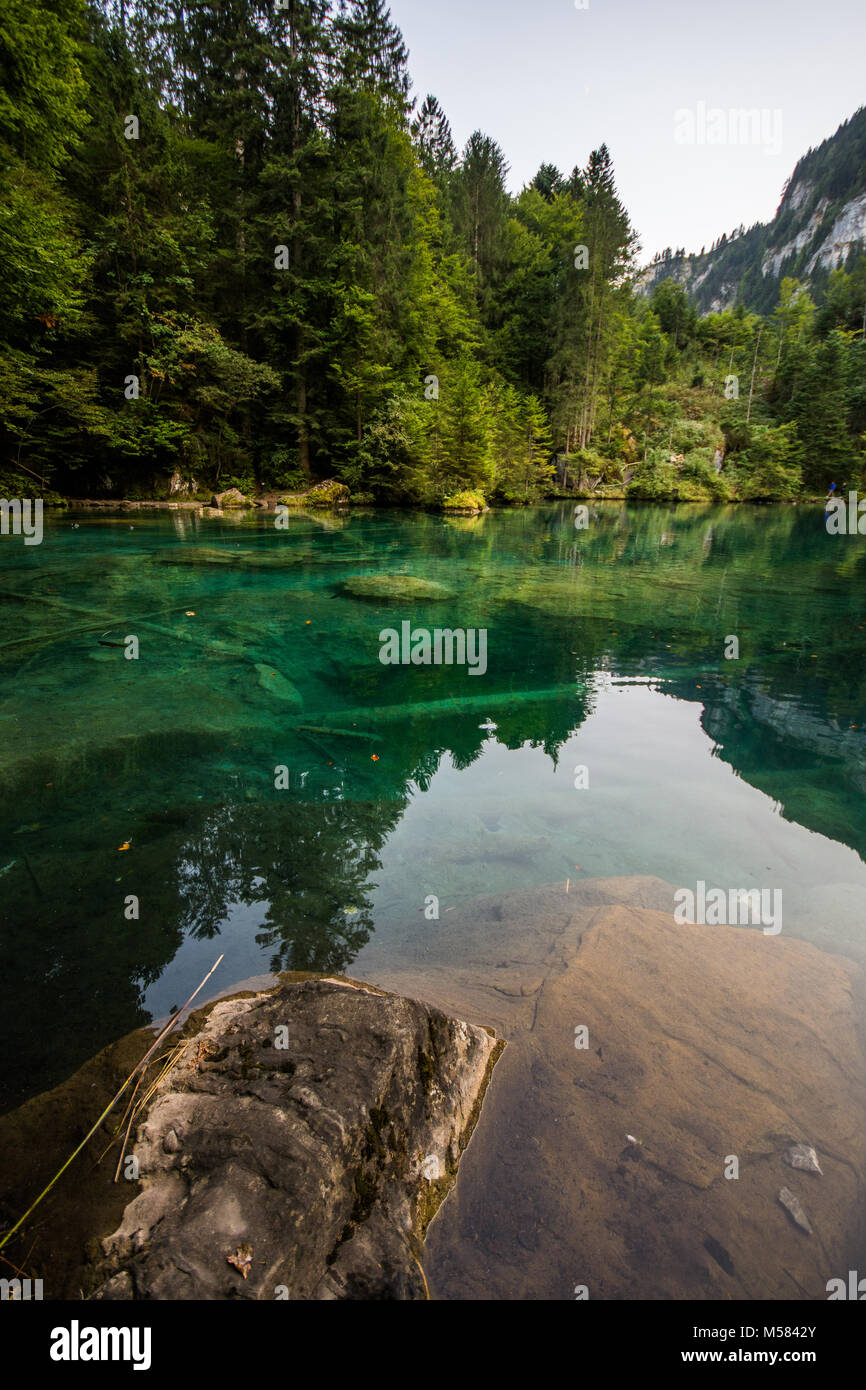 Il lago Blausee nel bel paese della Svizzera nelle alpi svizzere in kandergrund, Europa viaggiando in vacanza attraverso le Alpi Europian Foto Stock
