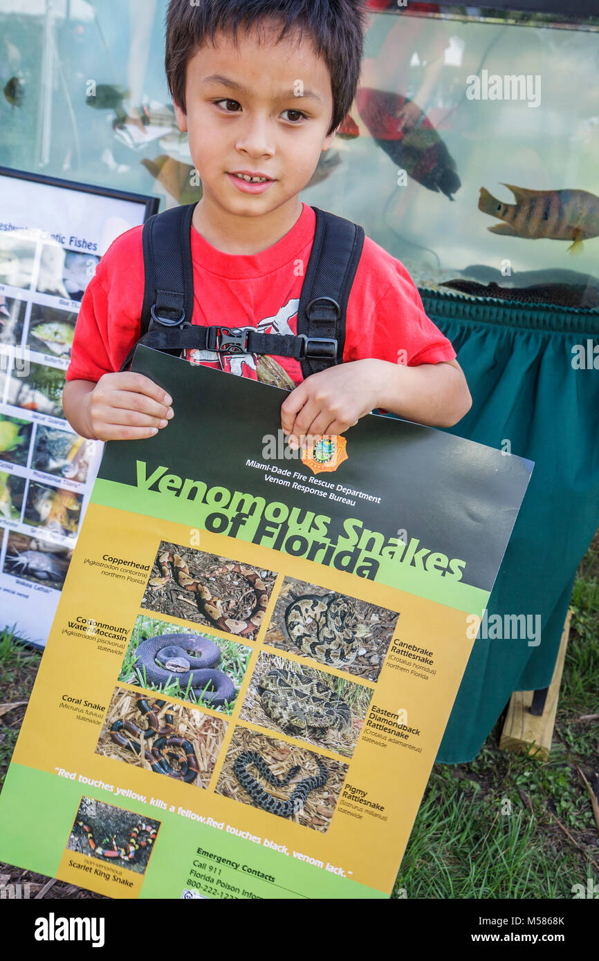 Miami Florida, Metrozoo, giorno di amnistia per animali domestici non nativi, animali esotici indesiderati, Fish & Wildlife Conservation Commission, ragazzi asiatici, bambini maschi bambini CH bambino Foto Stock