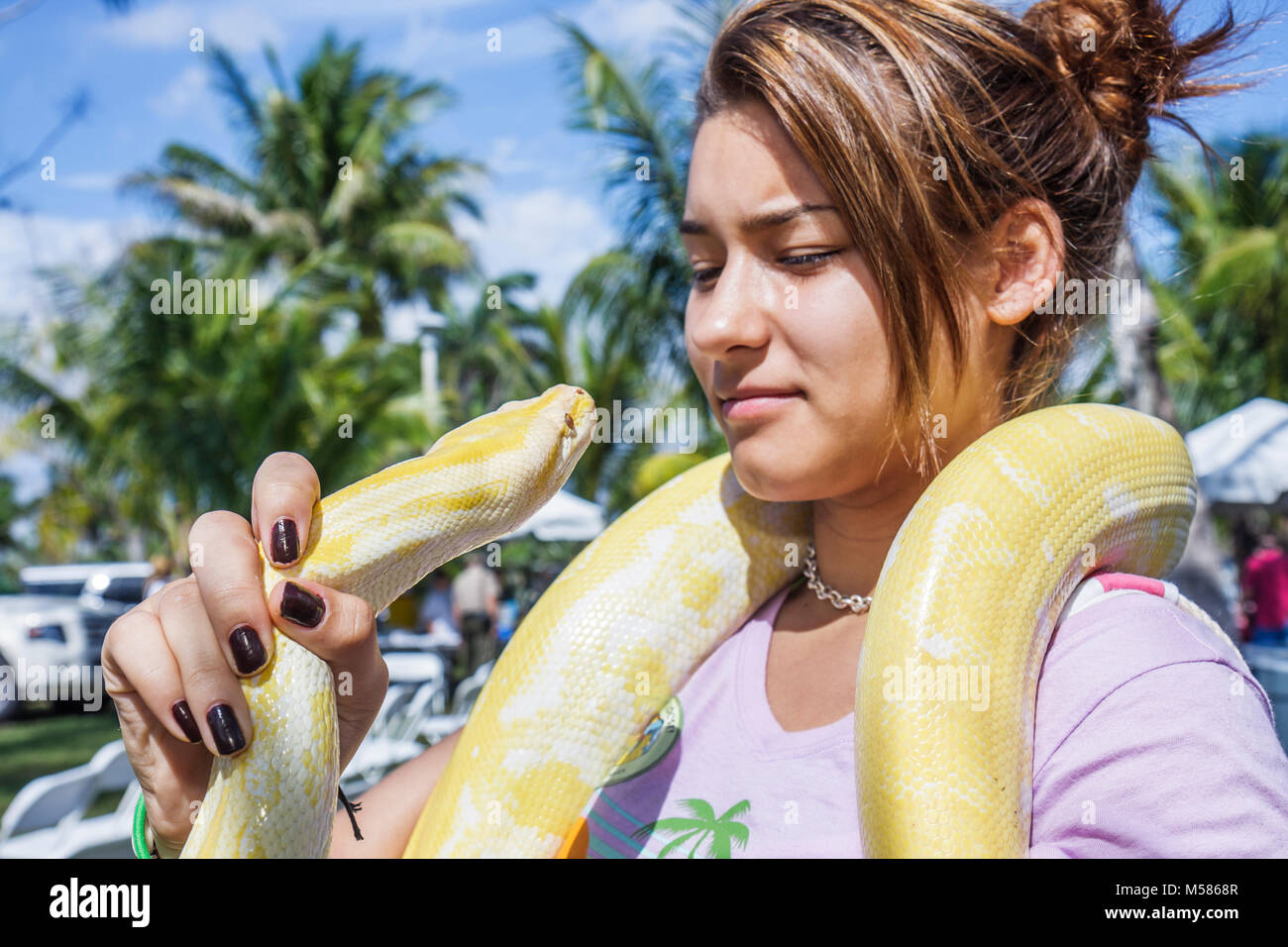 Miami Florida,Metrozoo,giorno di amnistia degli animali non nativi,animali esotici indesiderati,Commissione per la conservazione di pesci e animali selvatici,pitone birmano,latino ispanico Foto Stock