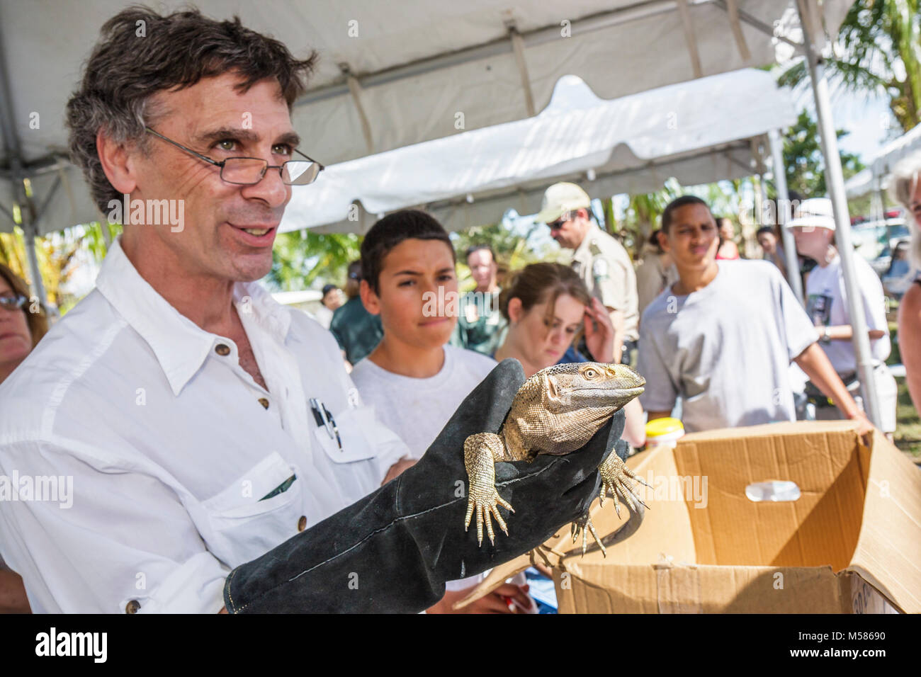 Miami Florida, Metrozoo, giorno di amnistia per animali domestici non nativi, animali esotici indesiderati, pesca e la Commissione di conservazione della fauna selvatica, lucertola blu, veterinario, Th Foto Stock