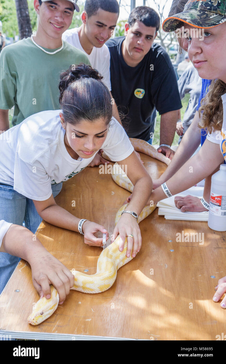 Miami Florida,Metrozoo,giorno di amnistia degli animali non nativi,animali esotici indesiderati,futuri agricoltori d'America,studenti ispanici femmina,educazione all'agricoltura Foto Stock