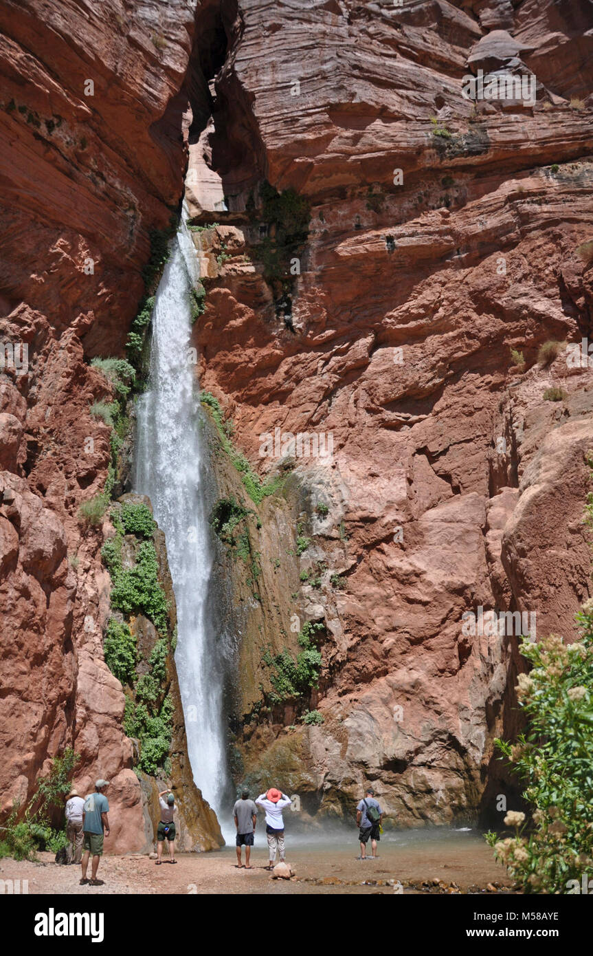 Parco Nazionale del Grand Canyon Deer Creek Falls . Le effusioni di acqua dalla molla di cervi hanno attratto la gente fin dai tempi della preistoria e oggi questo piccolo angolo di Grand Canyon è estremamente popolare tra i cercatori di notevole. Come un dono, ronzio flussi di acqua cristallina emergono dalle grotte misteriose per trasformare l'aspro deserto del canyon interno nella bella oasi verde piena con la musica della caduta di acqua e raffreddare le piscine. Deer Creek è un arresto per la maggior parte del fiume Colorado viaggi attraverso il Grand Canyon. Escursionismo in è una storia diversa. Sentiero di accesso può essere difficile a volte Foto Stock