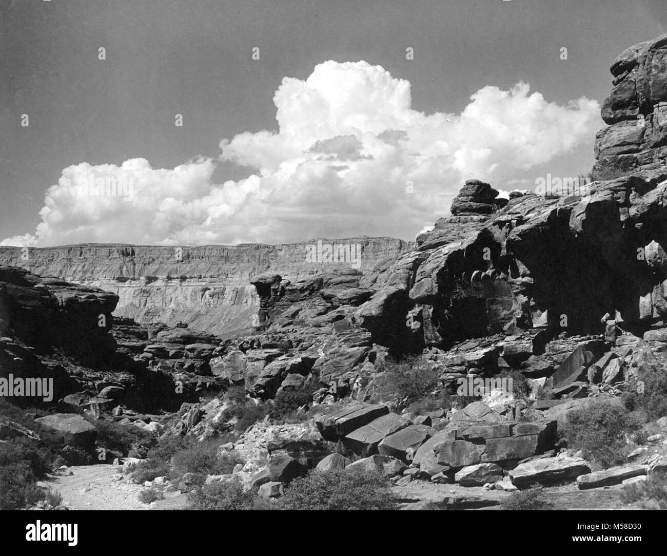 Grca Topocoba Canyon di scultura di roccia . Vista GUARDANDO VERSO IL BASSO TOPOCOBA canyon. Ripide pareti del canyon e sono caduti massi sono visibili. Manoscritti su retro a matita è 3- TOPOCOBA CANYON, GUARDANDO VERSO IL BASSO' sept. 1899 H.G. PEABODY. Nessun bordo intorno all'immagine. Vedere GRCA 14718-14742 PER ALTRE FOTO DI BASS E SUPAI PRESE PEABODY NEL 1899...foto storiche da , Foto Stock