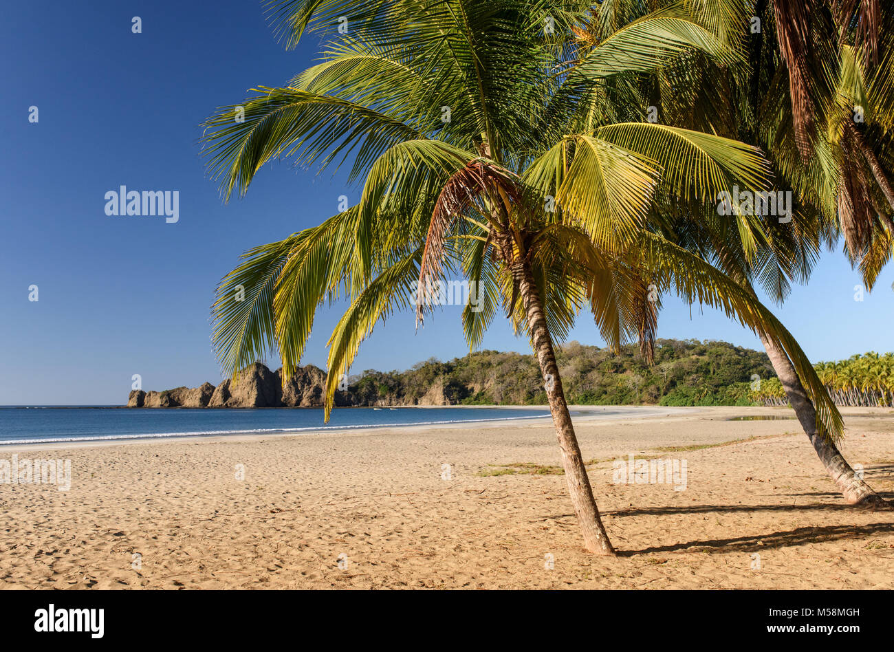 Costa soleggiata con palme in Costa Rica. America Latina Foto Stock