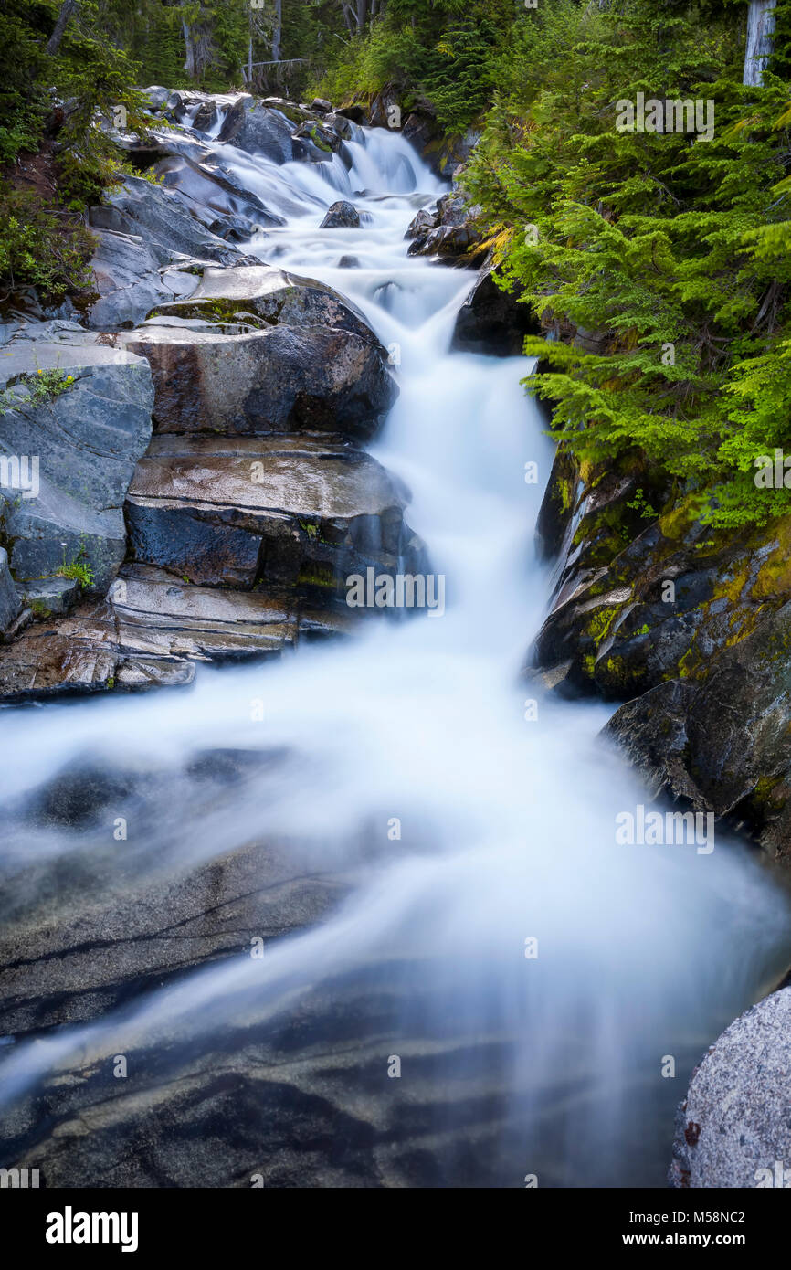 Paradise fiume che scorre sulle rocce in Mt Rainier National Park, Washington Foto Stock