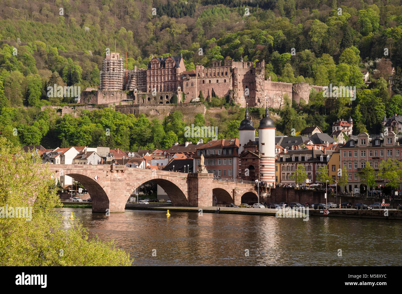 Heidelberg, Baden-Württemberg, Deutschland, Europa Foto Stock