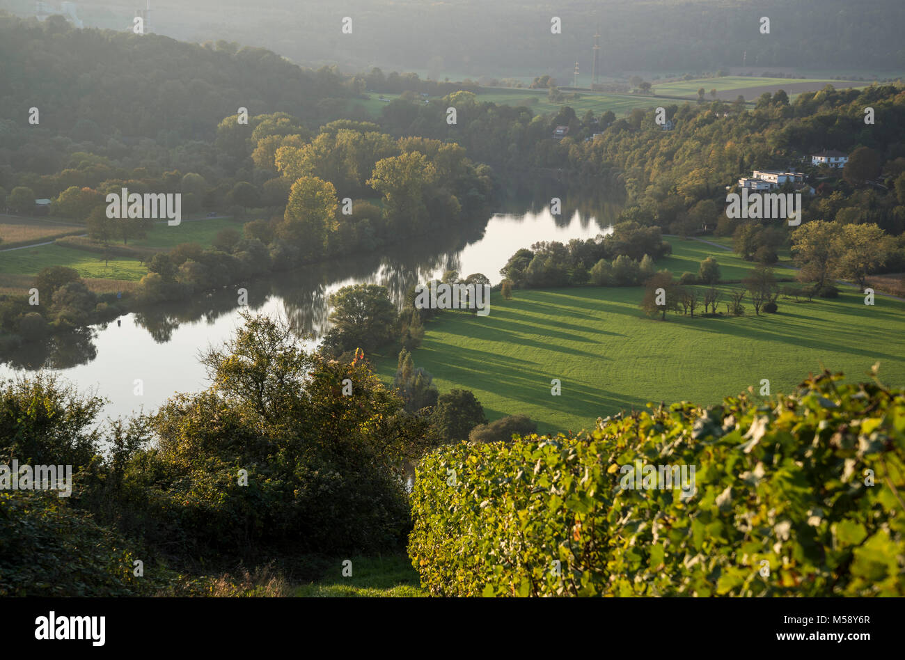 Blick vom Michaelsberg auf den Neckar bei Gundelsheim, Baden-Württemberg, Deutschland, Europa Foto Stock