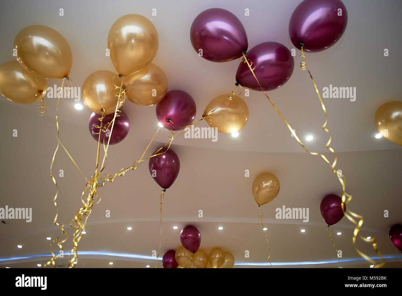 Facendo palloncini oro e colori viola.I bambini il compleanno, un  matrimonio o un anniversario Foto stock - Alamy