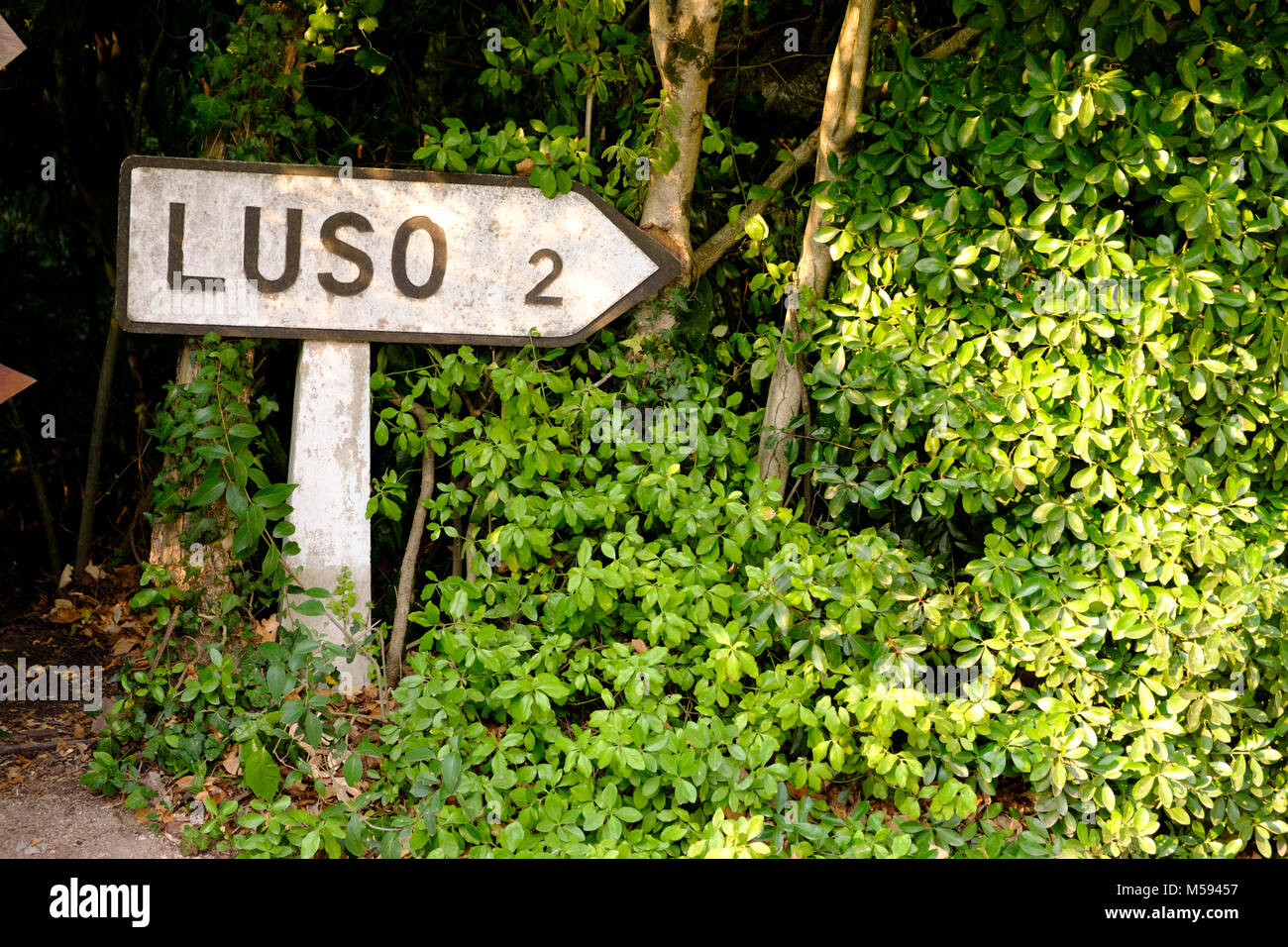 Vecchia strada segno rivolto verso il lusso del Portogallo Foto Stock