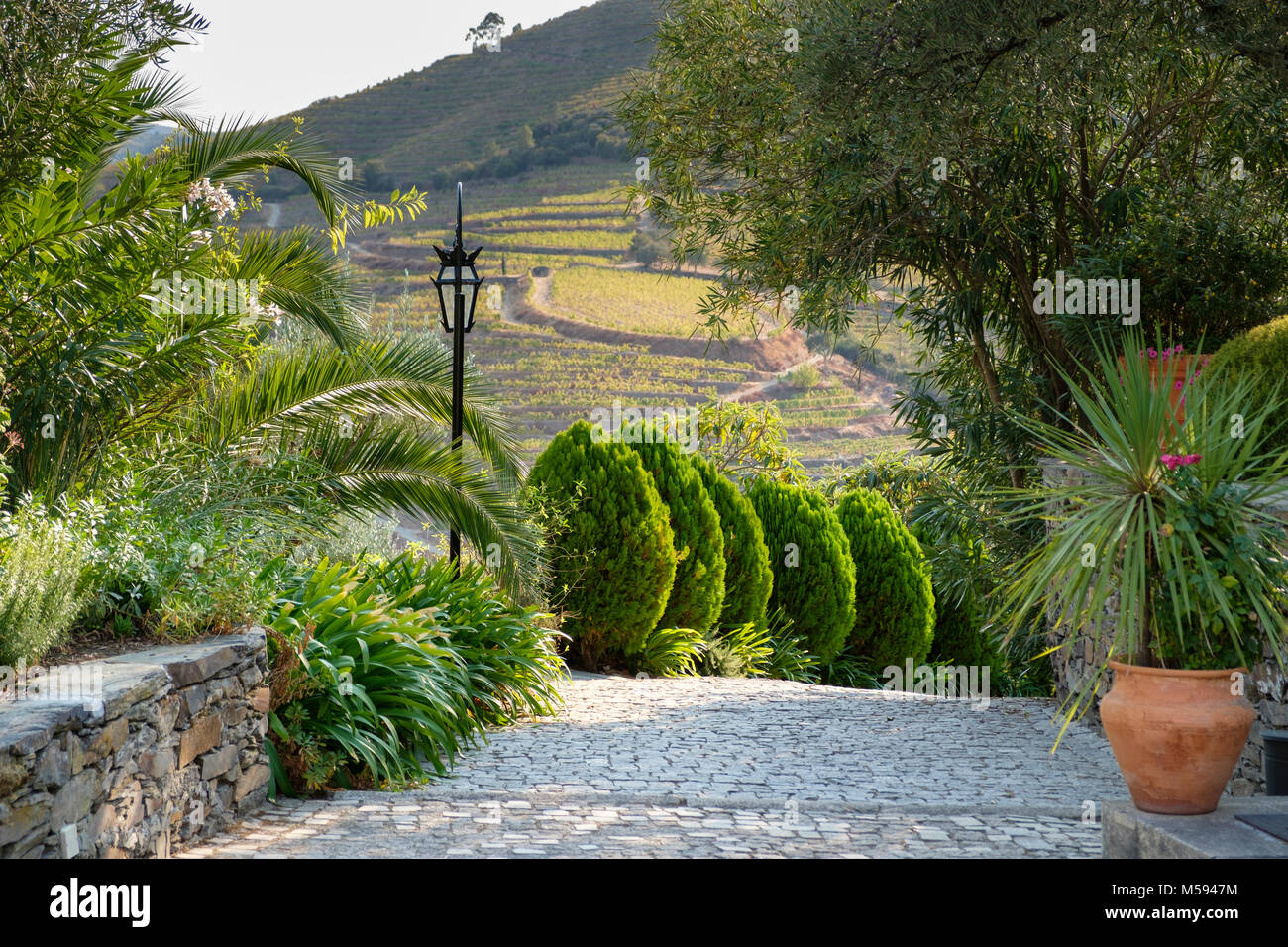 La Casa do Visconde de Chanceleiros, vicino a Pinhao, Douro River Valley, Portogallo Foto Stock