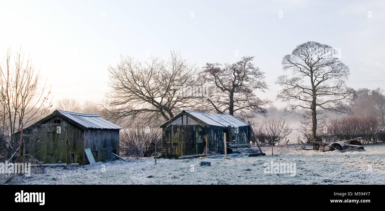 Coperta di neve rurali paesaggio invernale con una casa colonica e inverno alberi nel Cheshire Regno Unito Foto Stock