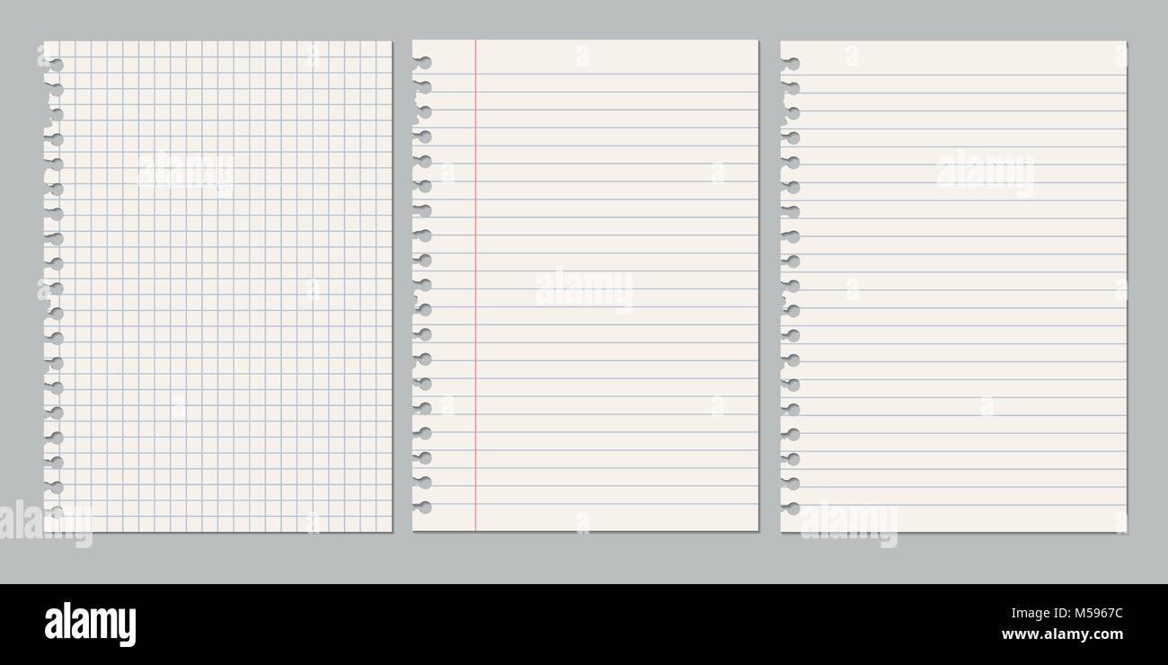 Set di vettore illustrazioni realistiche di un foglio strappato di carta da una cartella di lavoro con ombre, isolata su uno sfondo grigio Illustrazione Vettoriale