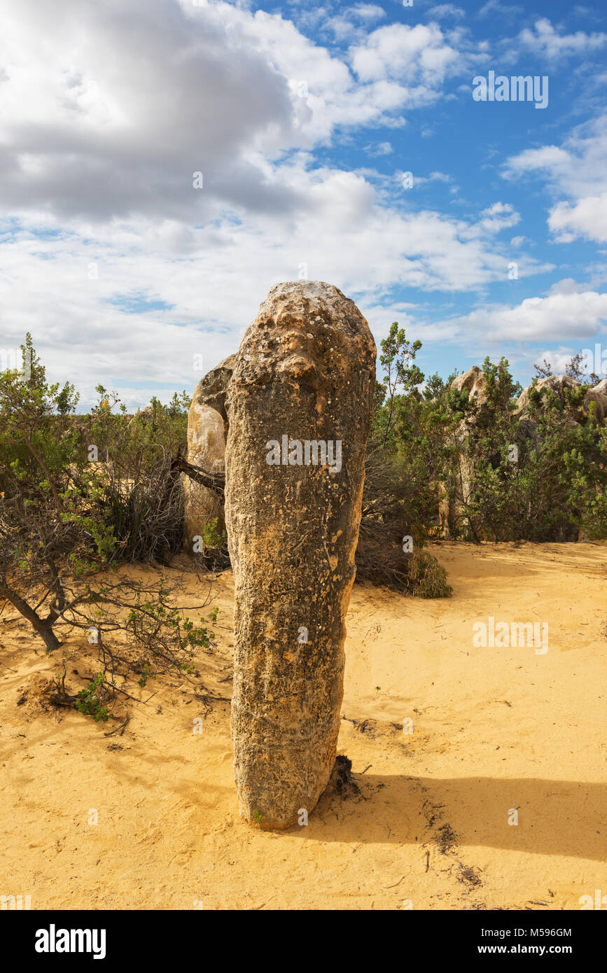 Giallo dune di sabbia e colonne di pietra calcarea Deserto Pinnacles nel Nambung National Park, Australia occidentale. Foto Stock