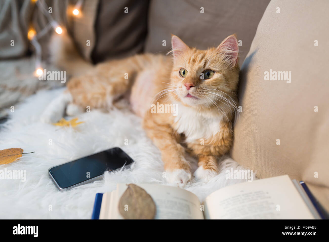 Rosso Gatto sdraiato sul divano con lo smartphone a casa Foto Stock