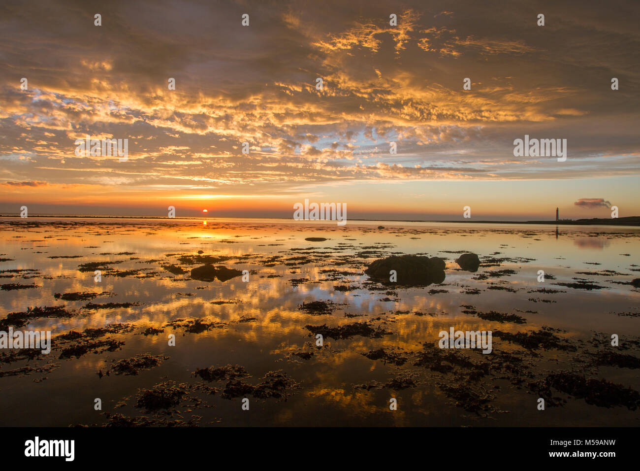 Golden sunrise su un mare tranquillo Foto Stock