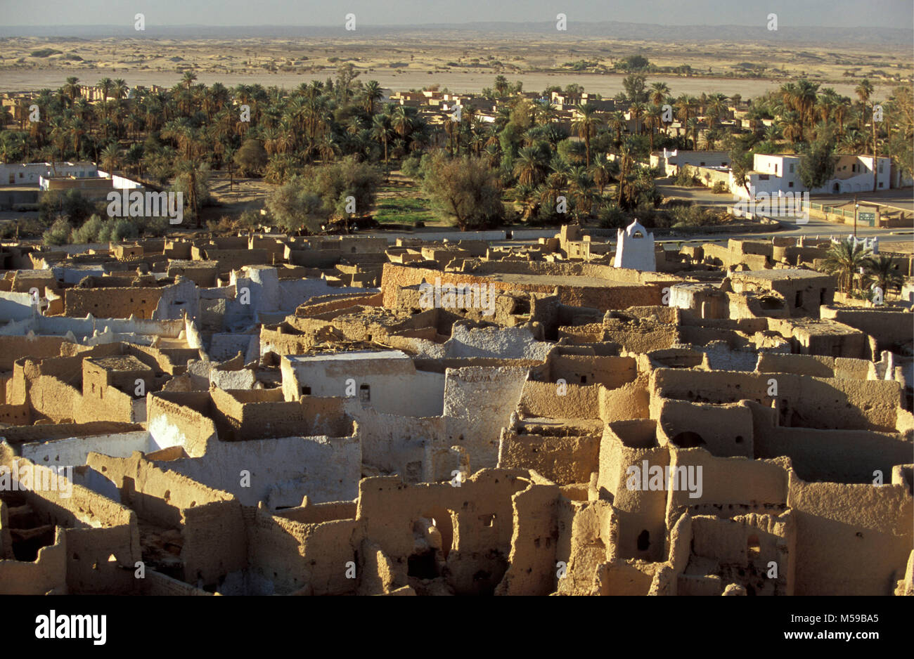 La Libia. Oasi di Ghat. Antica città. Guarda la rovina degli edifici della città vecchia in un oasi di palme nella periferia della città, e il Sahara Deser Foto Stock