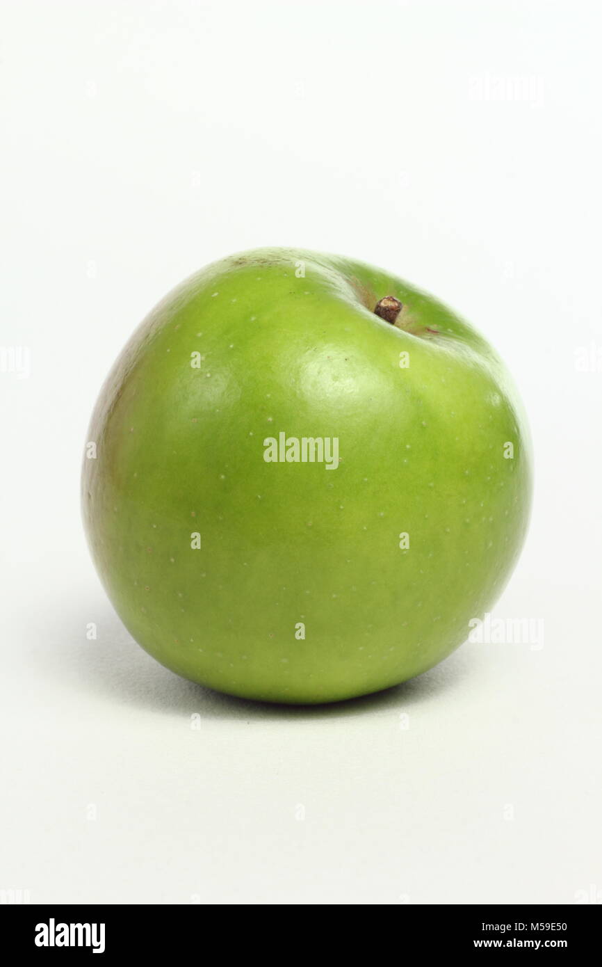 Malus domestica "Balsamo verde', un cimelio di famiglia inglese varietà di mele, sfondo bianco, REGNO UNITO Foto Stock