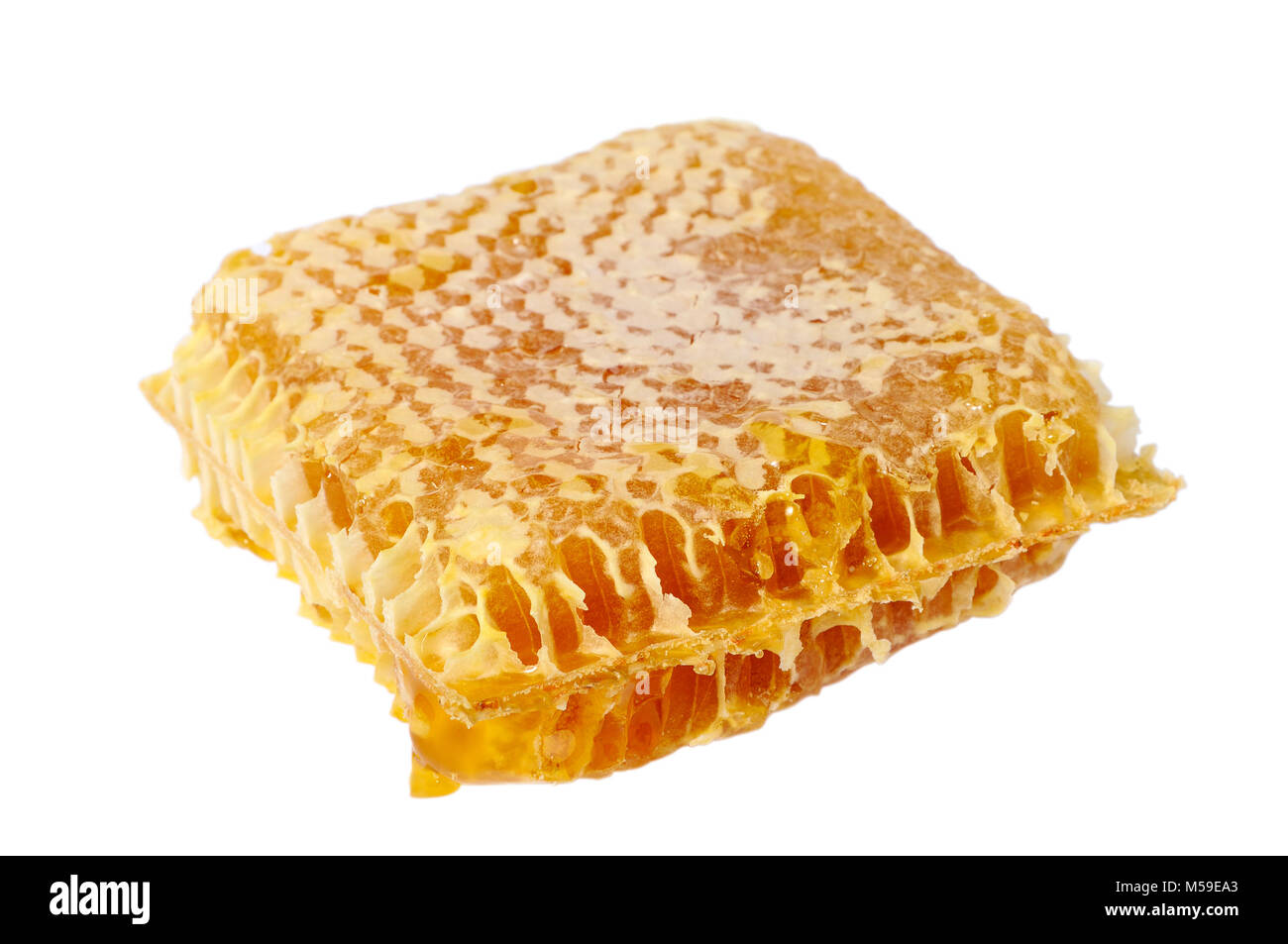 Honey comb isolato su uno sfondo bianco Foto Stock