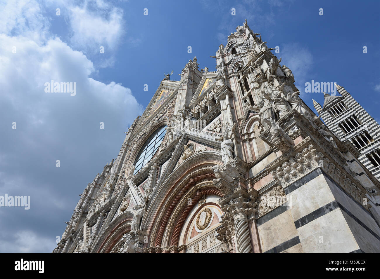 Albero di fiori di primavera Foto Stock