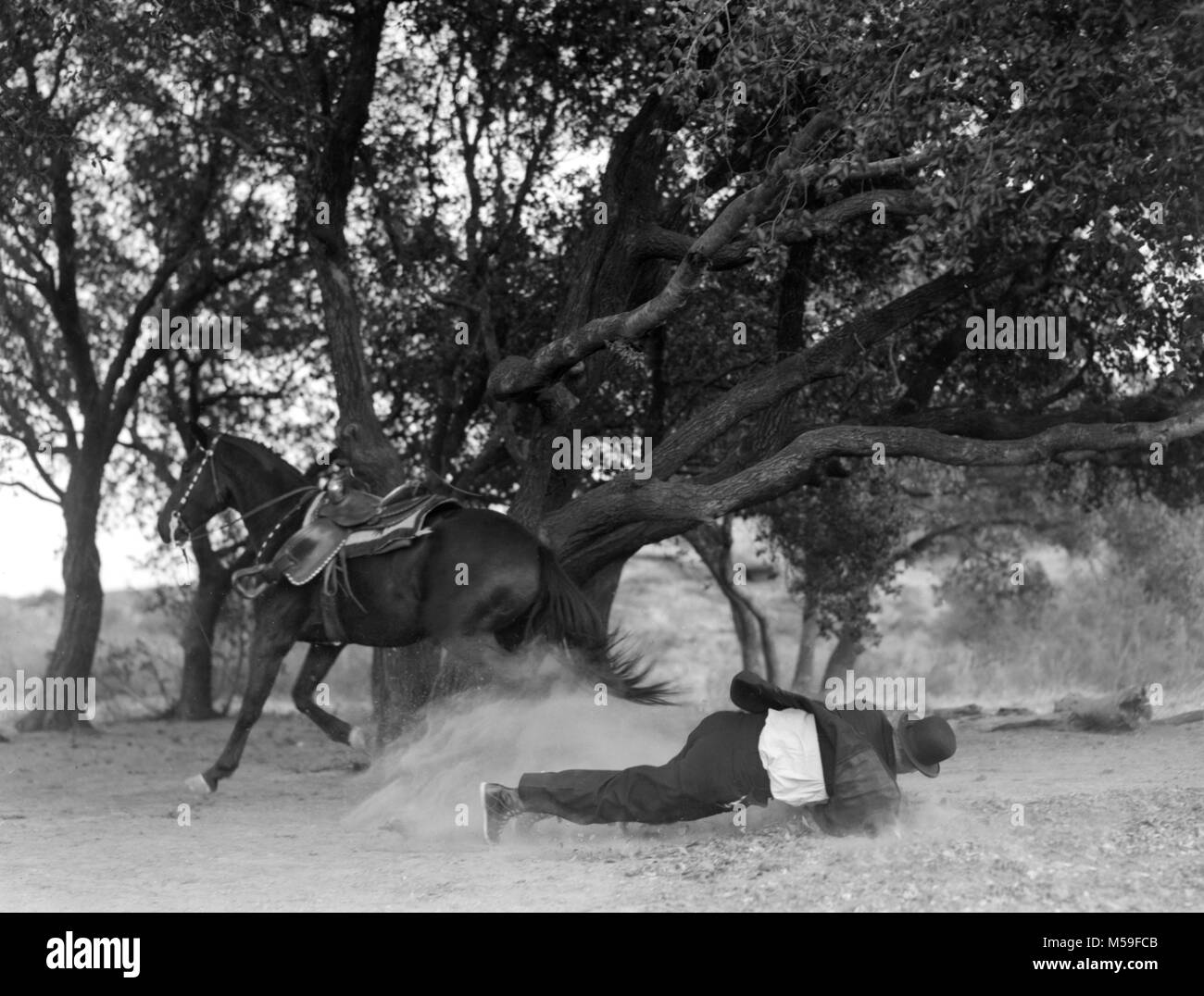 Un uomo, eventualmente uno stunt man, in un cappello bowler urta il suolo dopo la caduta di un cavallo al galoppo, ca. 1920. Foto Stock