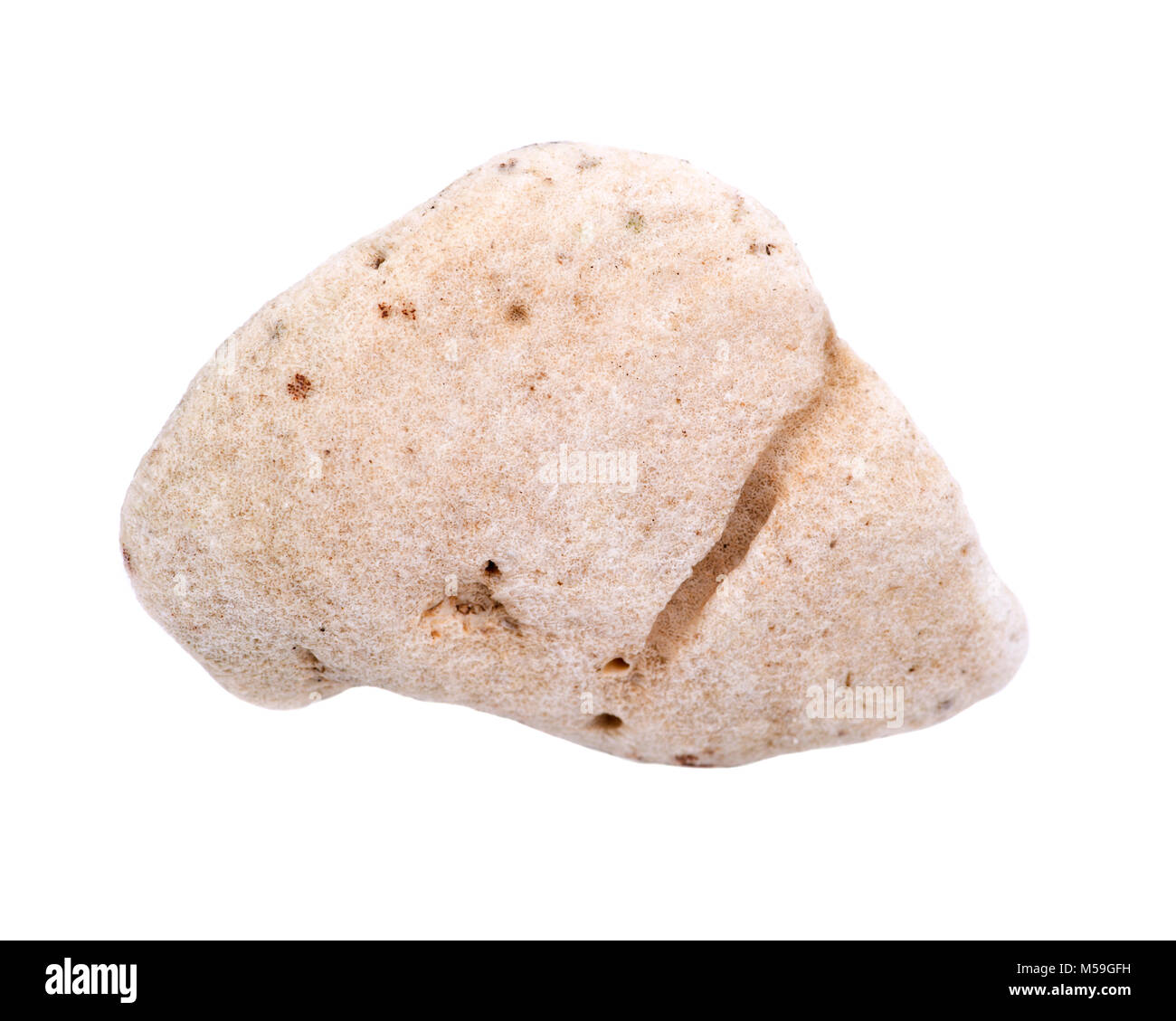 Poroso pietra beige da Kauai Beach in Hawaii, isolati su sfondo bianco. Foto Stock