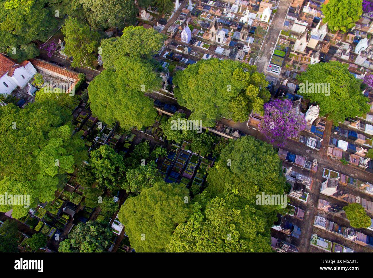 Sao Paulo, Brasile. Il 21 febbraio, 2018. Una veduta aerea del Consolacao cimitero che ha sepolto grandi nomi in brasiliano la letteratura e la storia è stato il bersaglio di furti di statue di rame per uso di stupefacenti, in SÃ£o Paulo, negli ultimi venti giorni, vi erano 14 occorrenze, secondo il movimento di difesa della zona, nella regione centrale del SÃ£o Paulo. Solo lo scorso Sabato, 9 tombe sono state saccheggiate e tra gli oggetti che sono scomparsi è una ghirlanda di bronzo che pesa più di 200 chili. Credito: Dario Oliveira/ZUMA filo/Alamy Live News Foto Stock